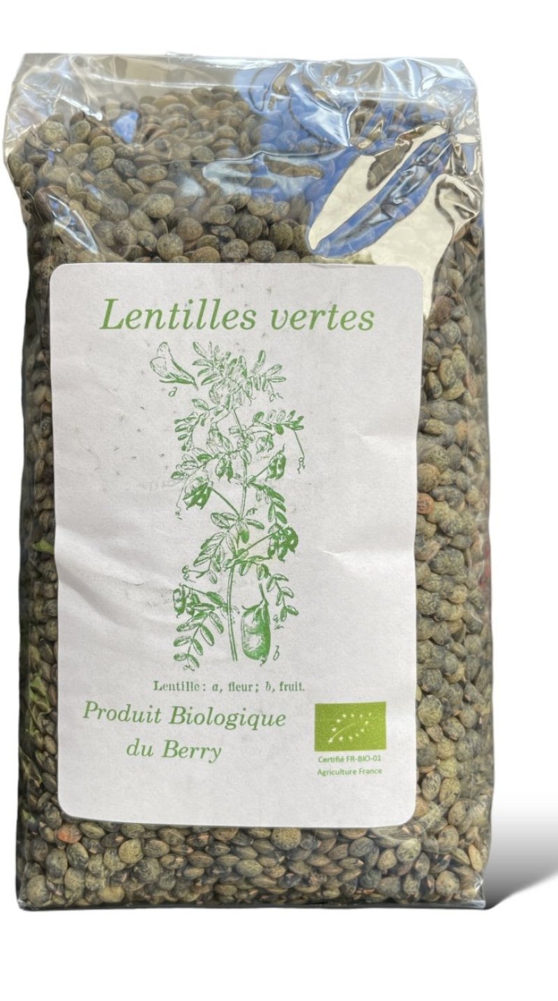 Lentilles vertes BIO du Berry